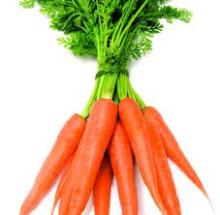 Fresh Carrots