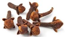 CLOVE BUD OIL