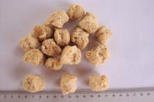 Textured Soy Protein (TVP)-SW5004
