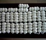 indonesia garlic