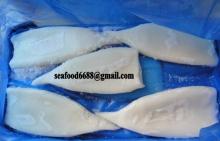 squid exporter Shatted pack frozen squid  tube s cleaned