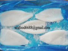  Frozen   squid  exporter  arrow   squid  New Zealand  squid   tube s