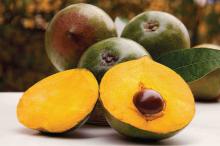 Organic Raw Lucuma Powder