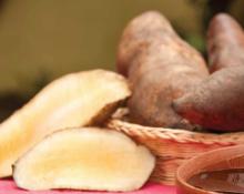 Organic Yacon Powder
