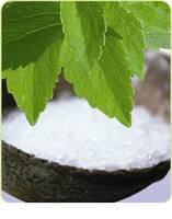 stevia extract