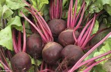 Beetroots