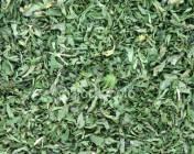  Parsley 