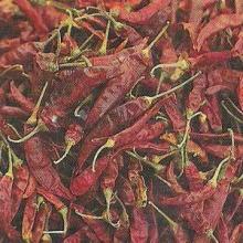 Pepper