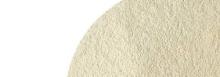 Soy milk Powder