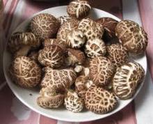 Shiitake Mushroom