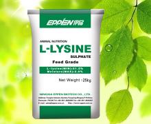 l-lysine