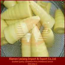 canned bamboo shoot