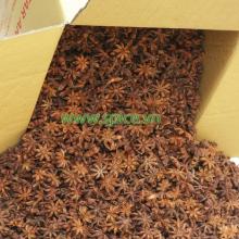 Viet Nam Star Aniseed
