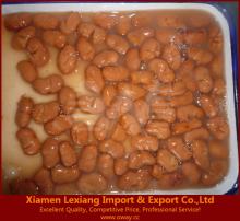canned broad beans