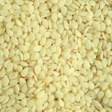 Sesame seed