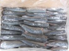  Frozen   HGT   mackerel 