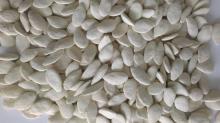 Roasted Salted  Snow  White  Pumpkin  Seeds , roasted  snow   pumpkin  seeds , snack  pumpkin  seeds