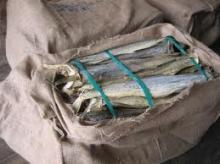 Norway Stockfish