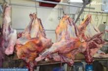  Beef  Carcass ,  Beef   Cut s