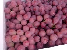 Red grape