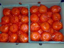 Sweet mandarin orange for hot sale