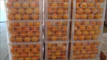 Sweet navel orange for hot sale