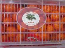 Sweet Nanfeng(baby) orange