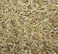 Cumin seed
