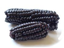 Purple Corn Spray Dry Extract 4 % Anthoc, 15 % Polyph
