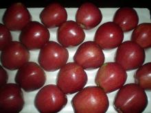 RED DELICIOUS APPLES FOR SALE