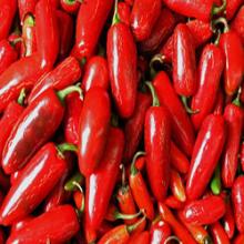 Red Chilli