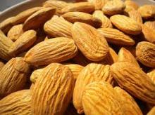 FRESH ALMOND NUTS READY IN INDONESIA