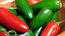 Jalapeno Pepper