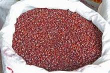 Red Kidney Beans