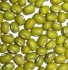Mung Beans