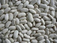 White Kidney Beans