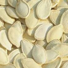 Snow white  pumpkin   seeds  ,  Green   pumpkin   seeds 