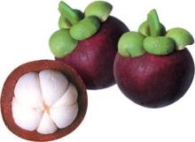  Mangosteen   Extract s