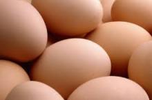BROWN SHELL TABLE EGG