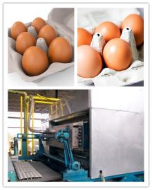 Disposable egg box making machine