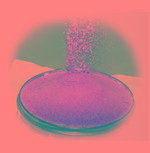  High - protein   powder 