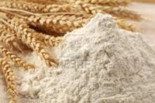 Wheat Flour, Corn Flour , Semolina