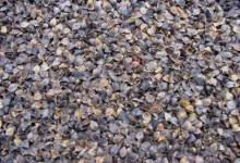 buckwheat hull