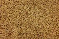  Fenugreek   Seed 