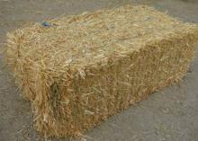 Oat hay