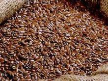  Castor   seed s