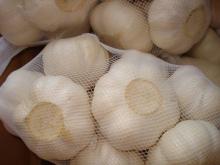 Fresh White Garlics