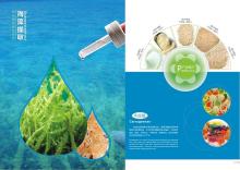  Food   addititive - carrageenan