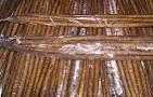 Good Quality  Fresh   Burdock 