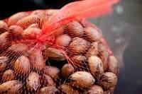 Raw Pecan Nuts